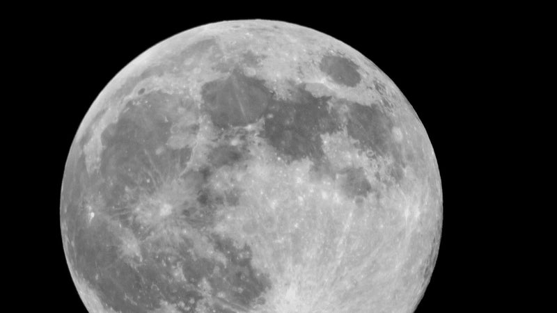 A full grey moon on black